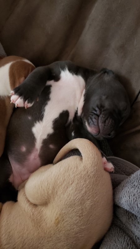 20191226_152056.jpg
