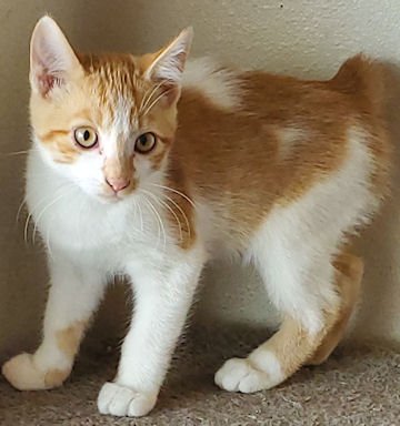bean left 9-28-19.jpg