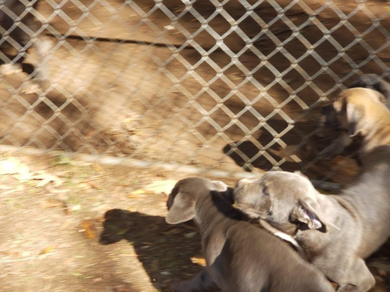 received_477108633214941.jpeg received_477108633214941.jpeg