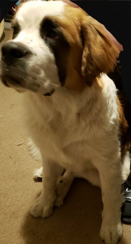 20191019_234119.jpg