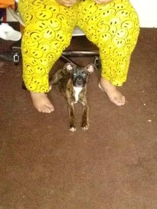 received_212475903123214.jpeg