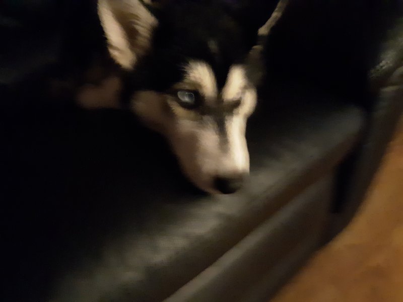 20191102_160744.jpg