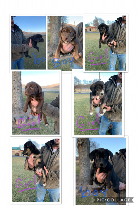 9FADCC01-11D8-4639-A140-87356D008A7C.png