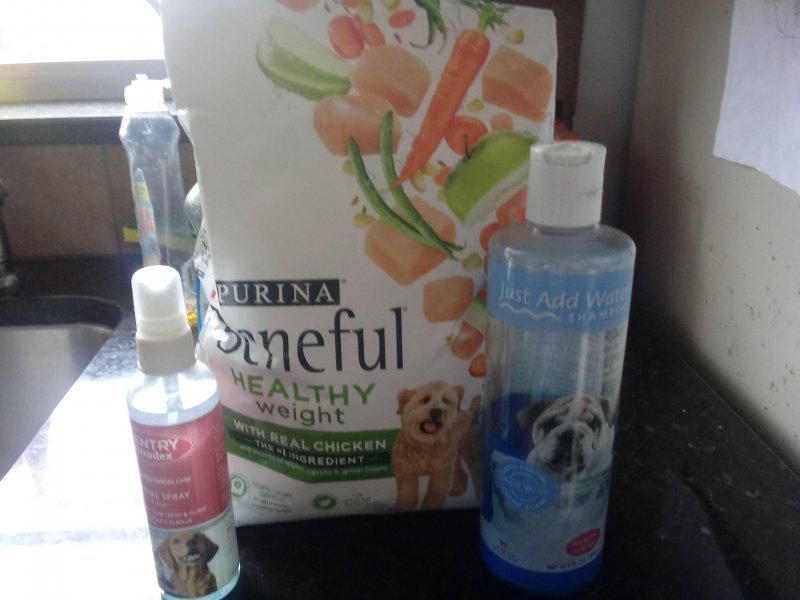 Dog and Cat Supplies for Sale