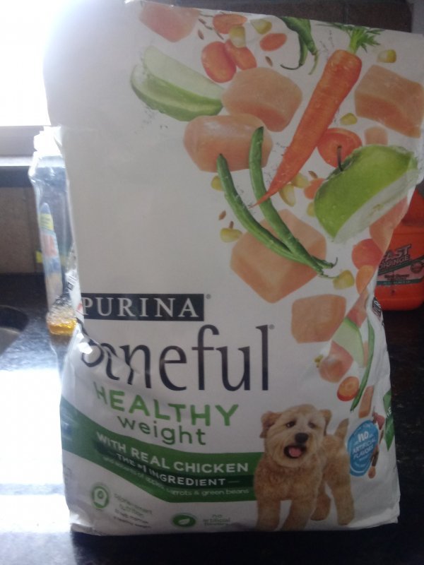 Dog and Cat Supplies for Sale