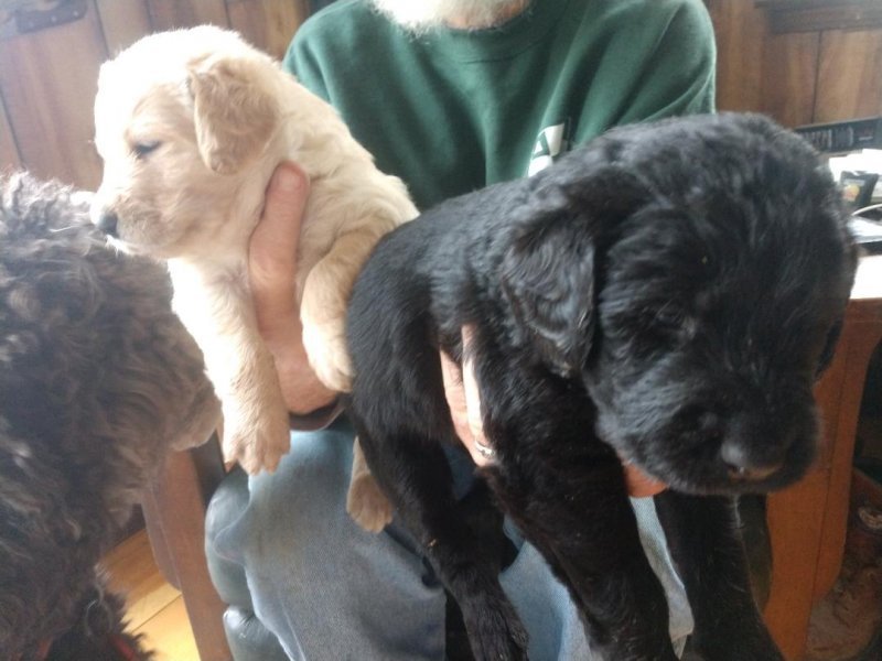 24 days old 1.jpg