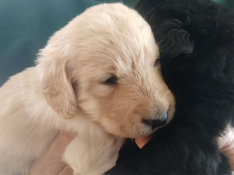 24 days old 2.jpg