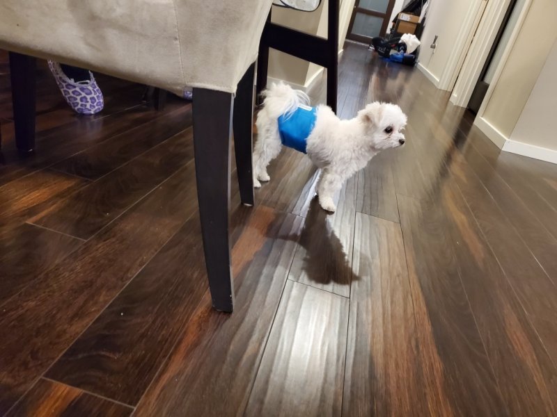 Resized_20191204_180623.jpeg