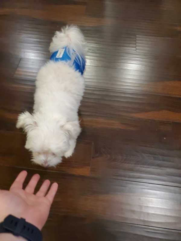 Resized_20191204_180552.jpeg