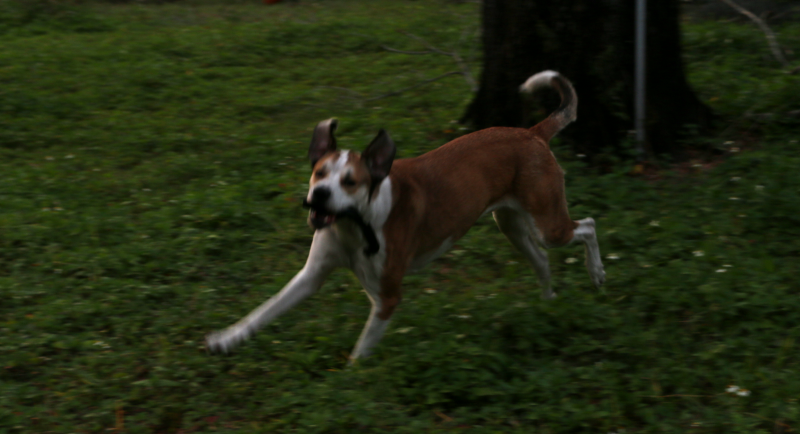 IMG_6695.png