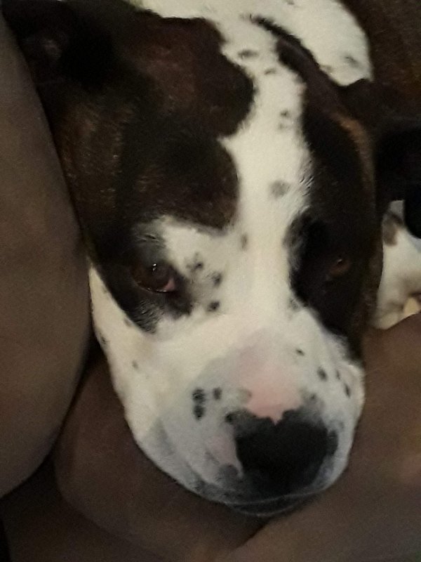 20191130_140954.jpg