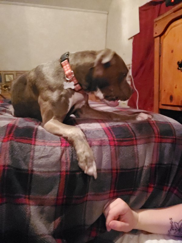 20191220_023845_024.jpg