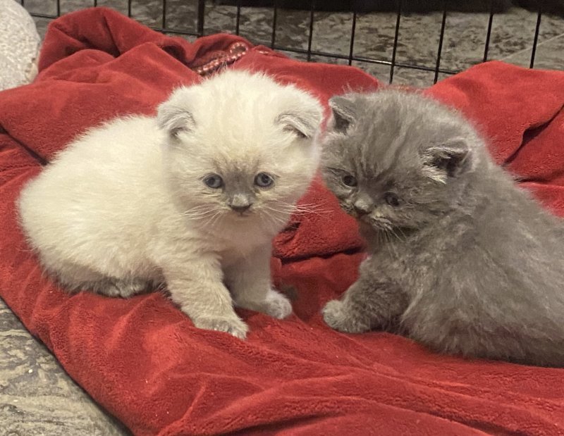 grey and girl.jpg
