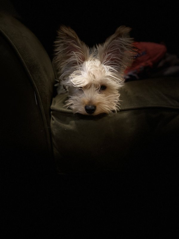 D80D80FC-11A5-4B85-B708-399827EB1469.jpeg