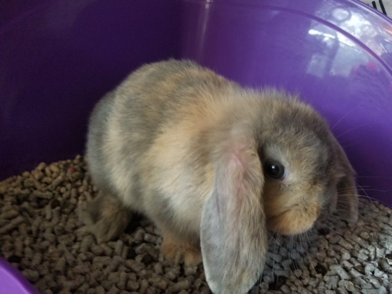 20190620_174228.jpg