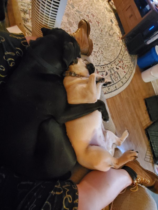20191216_150512.jpg