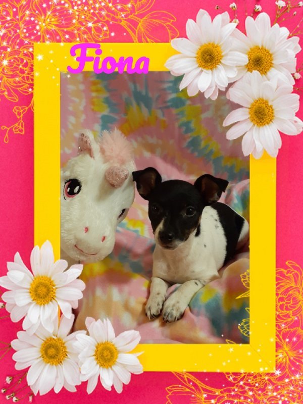 FlowerPic1583001784229.jpg
