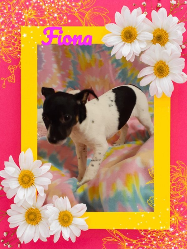 FlowerPic1583001697497.jpg