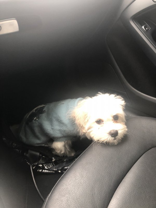 Sammy1.jpg