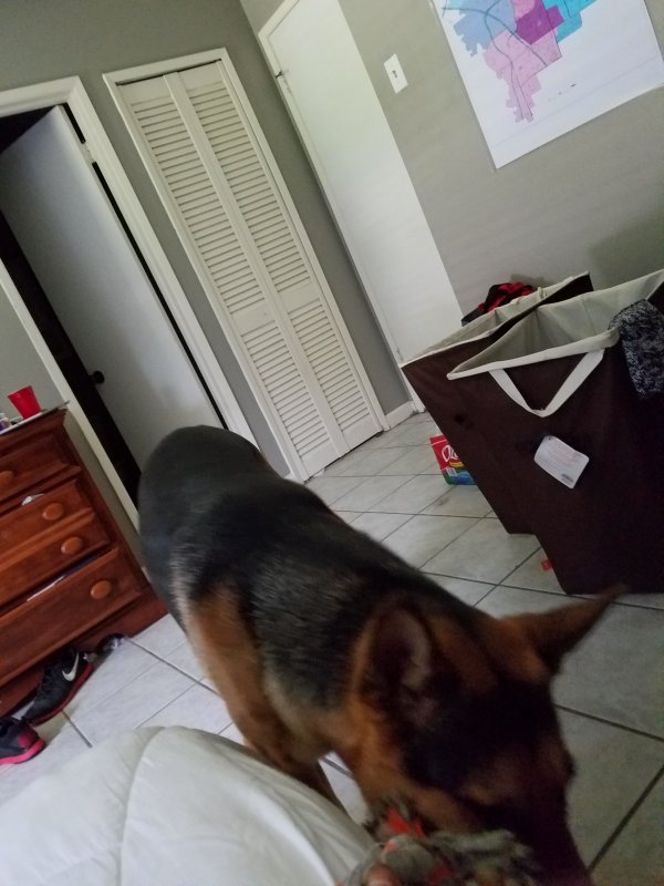 20160517_120704.jpg