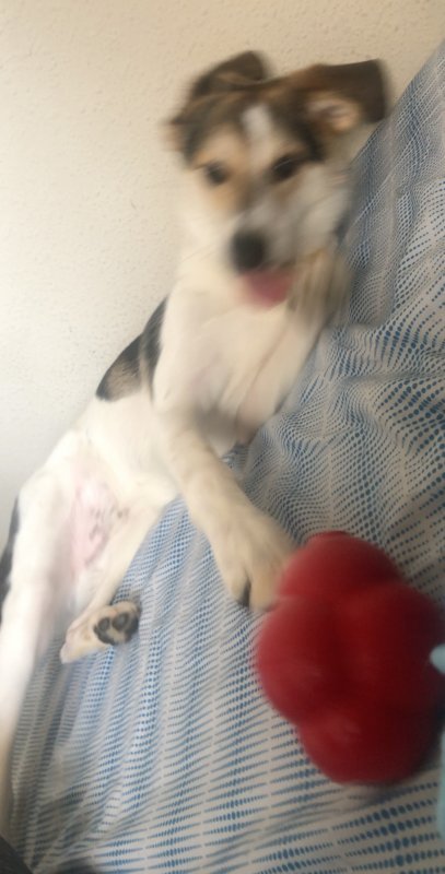078255CB-3164-441A-AA94-A74D04AF5EC4.jpeg