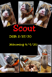 PhotoGrid_1584150797484-scale-2.png PhotoGrid_1584150797484-scale-2.png