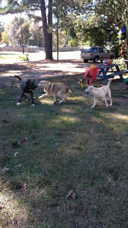 received_431731531103741.jpeg