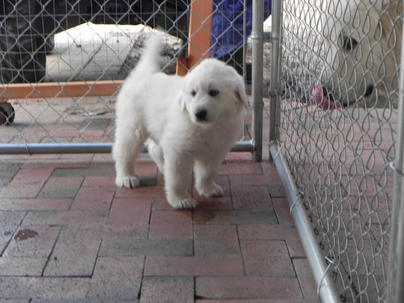 DSCN3131.JPG