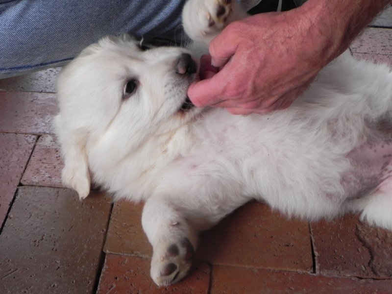 DSCN3138.JPG