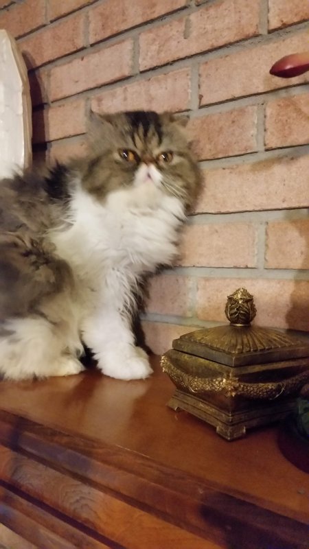 20190605_144806.jpg