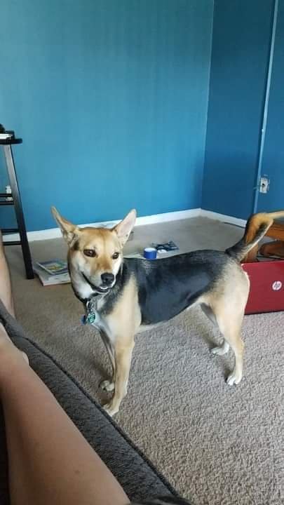 received_675175323333563.jpeg
