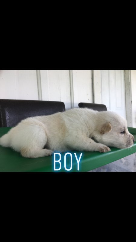10078F84-0220-45F8-A3C9-47CA3C8BDD4D.jpeg