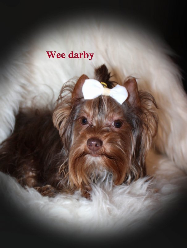 Darby 1.jpg