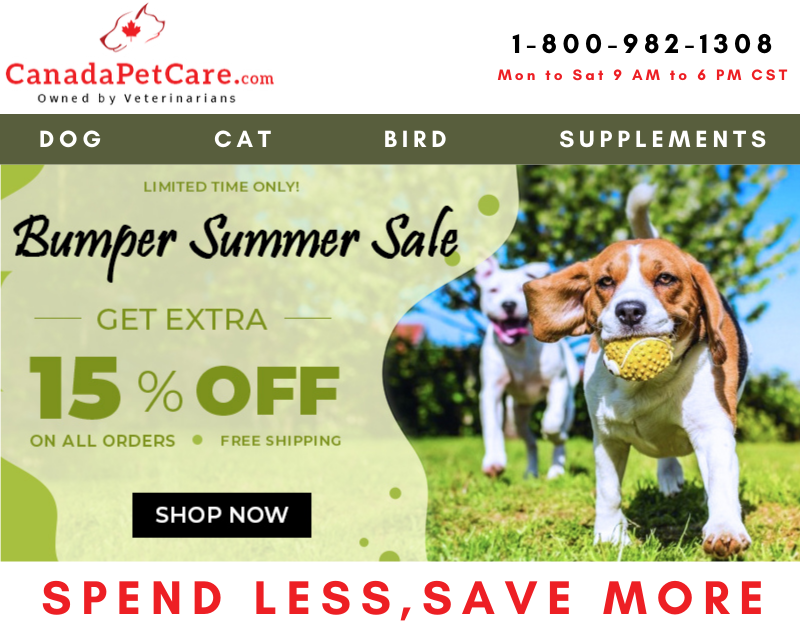 CPC Bumper Summer Sale.png