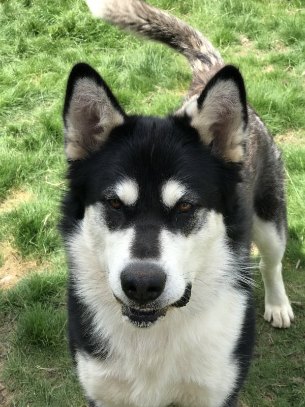 Belle Headshot.jpeg