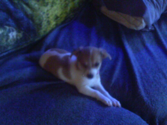 IMAG0033.JPG