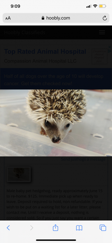 DF5E7DAD-8989-41FB-A2CF-3E599E89D1C3.png