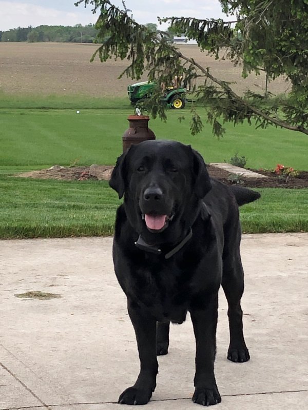 LIla May2020.jpg