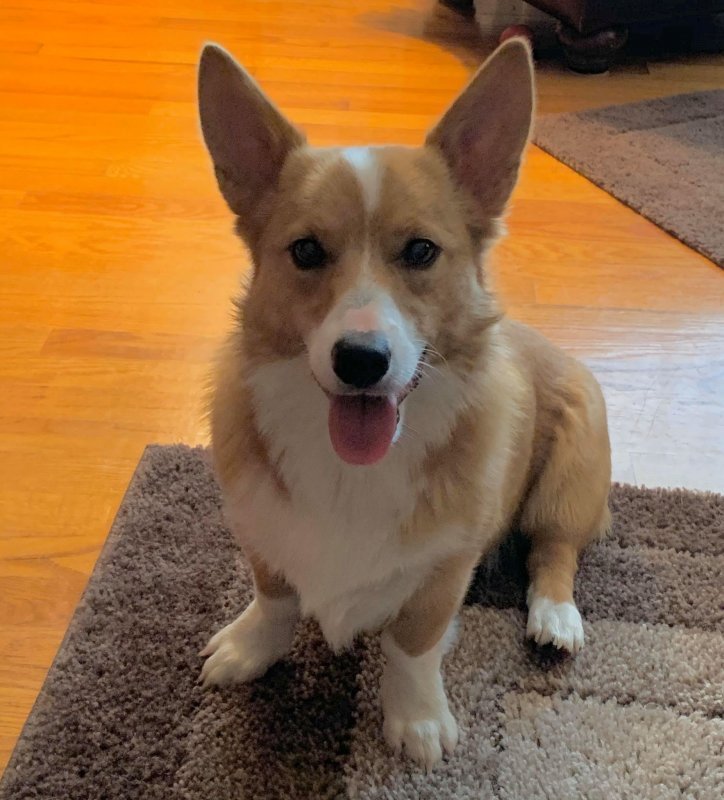 Brady10 months.jpg