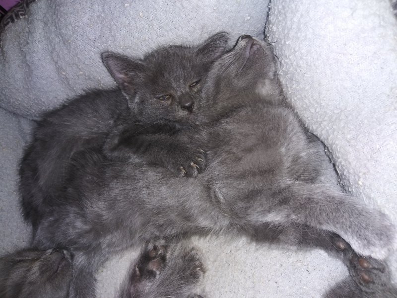 20200708_175032.jpg