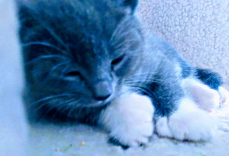20200711_110322.jpg