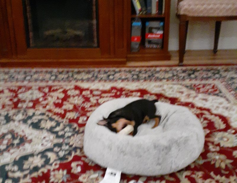 20200417_210746.jpg