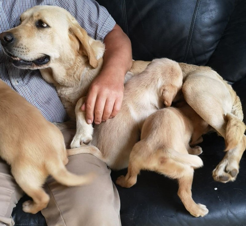 familyef.jpg familyef.jpg