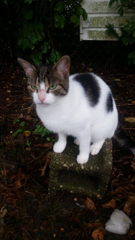 20200910_120927 good 3.jpg