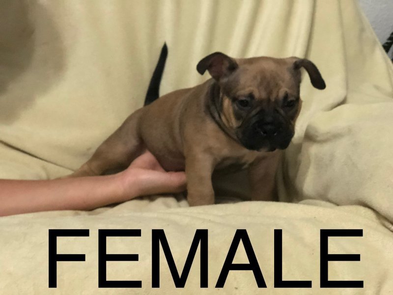67A51F0E-5449-46F9-A739-A8C3F9D3E205.jpeg