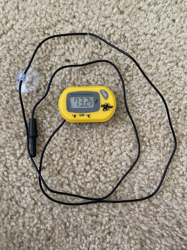 Hedgehog thermomerter.jpg