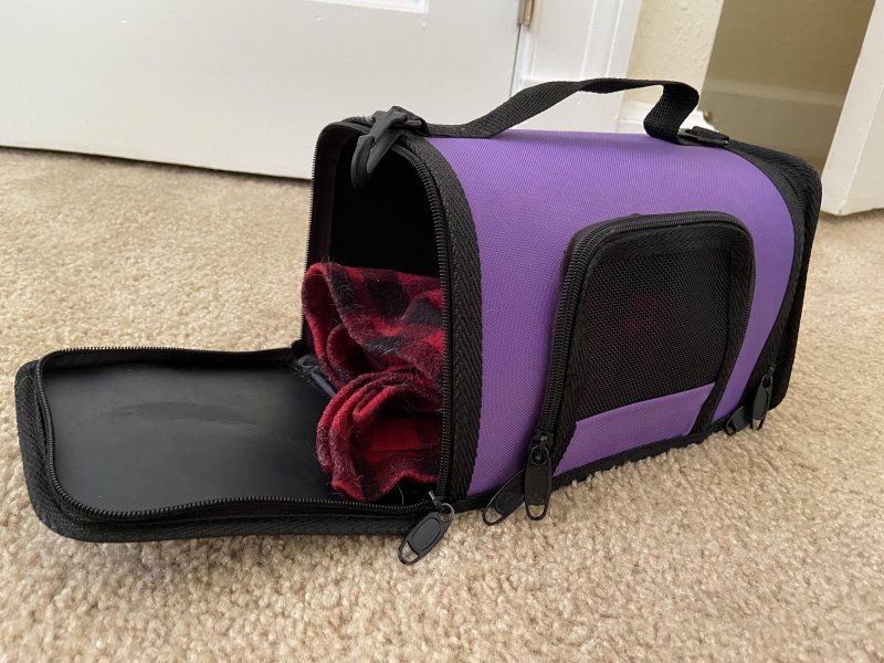 Hedgehog Carry Case.jpg