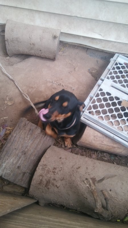 20201004_101719.jpg