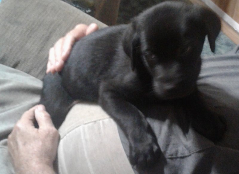 20201112_184726.jpg