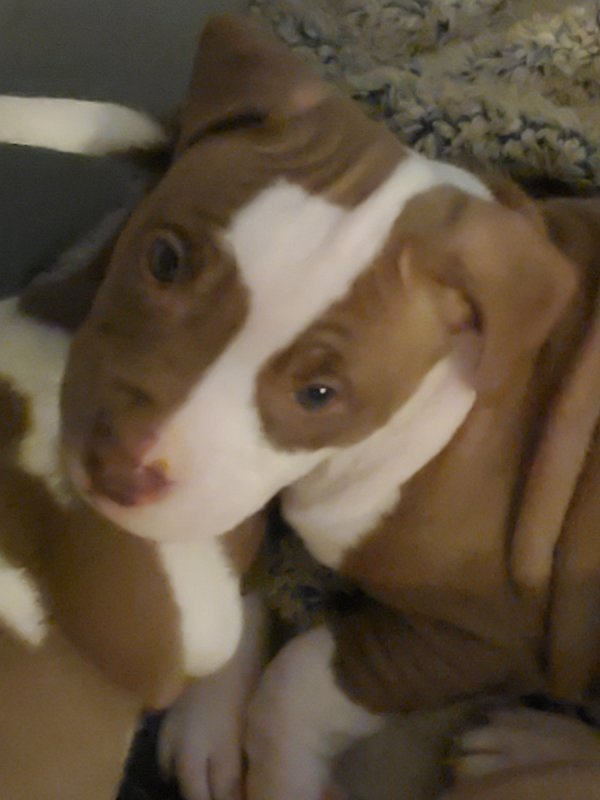 Resized_Resized_20201208_095337.jpeg